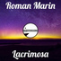 Roman Marin