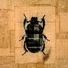 Mueros