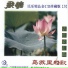 Li Wei