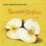 Smart Metal Hornets feat. Wolfram Dix