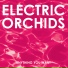 Electric Orchids