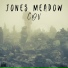 Jones Meadow