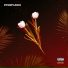 Twenty3