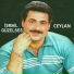 İsmail Güzelses