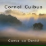 Cornel Cuibus