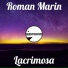 Roman Marin