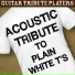 Guitar Tribute Players