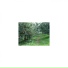 Mindfulness Healing BGM Project