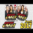 Cacau Com Mel