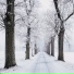 Navidad, Christmas Carols, Happy Christmas Music
