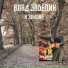 В. Забелин