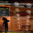 Elevator Background Music Classics