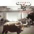Carabao