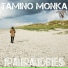 Tamino Monka