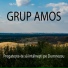 Grup Amos
