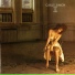 CARLY SIMON