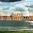 Allevo