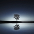 Music for Reading, Reiki, Meditation Spa