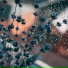 Rain Recorders, Nature Sounds Radio, Pink Noise