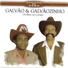 Galvão e Galvãozinho