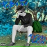 PxGxJx