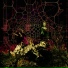 Starcrash