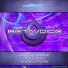 Betavoice