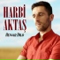 Harbi Aktaş