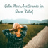 Relaxing Music