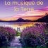 Fabien Lecours
