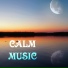 Wellness Media
