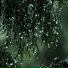 The Rain Library
