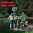 Purema