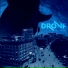 Dronf
