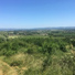 Soothing Nature Recordings