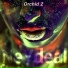 NeYdeal