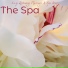 Spa Music Relaxation Meditation