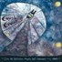 Counting Crows