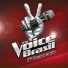 Priscila Brenner