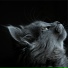Jazz Music for Cats, Music For Cats TA, RelaxMyCat