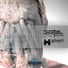 Digital Impulse