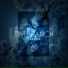 Tim Branch