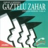 Gaztelu Zahar