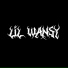 LIL WANSY, TriganFlyppe
