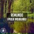 Remundo