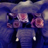 Elephant Is The?
