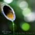 Asian Zen Spa Music Meditation
