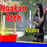 Viana Safara
