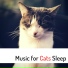Pet Care Relaxing Companion
