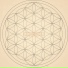 Doubutsu System